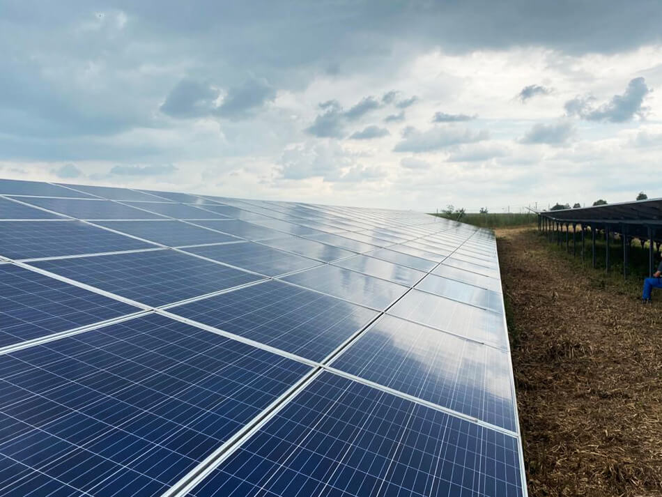 Photovoltaik Reinigungsfirmen Solarparks